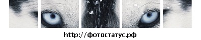 №143, Дмитро Ігорович, 31 год, Ивано-Франковск №143, Дмитро Ігорович, 31 год, Ивано-Франковск