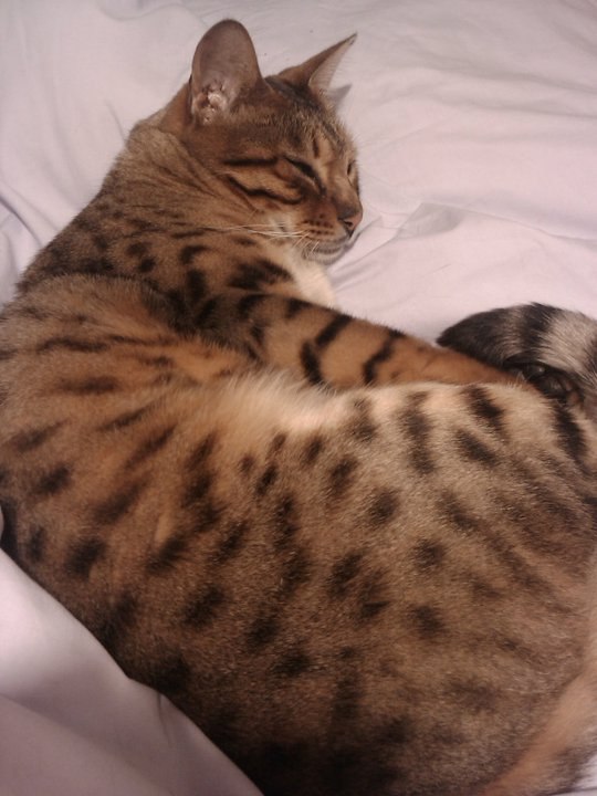 James Godfrey | London