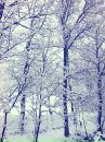 №39 Полина Воскресенская 24.01.1994: профиль, фото, статус - ВКонтакте
