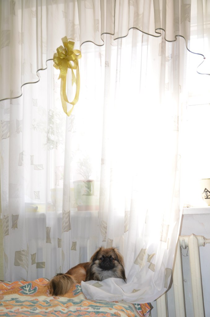 Николай Никонов _Юрич_ | Тюмень