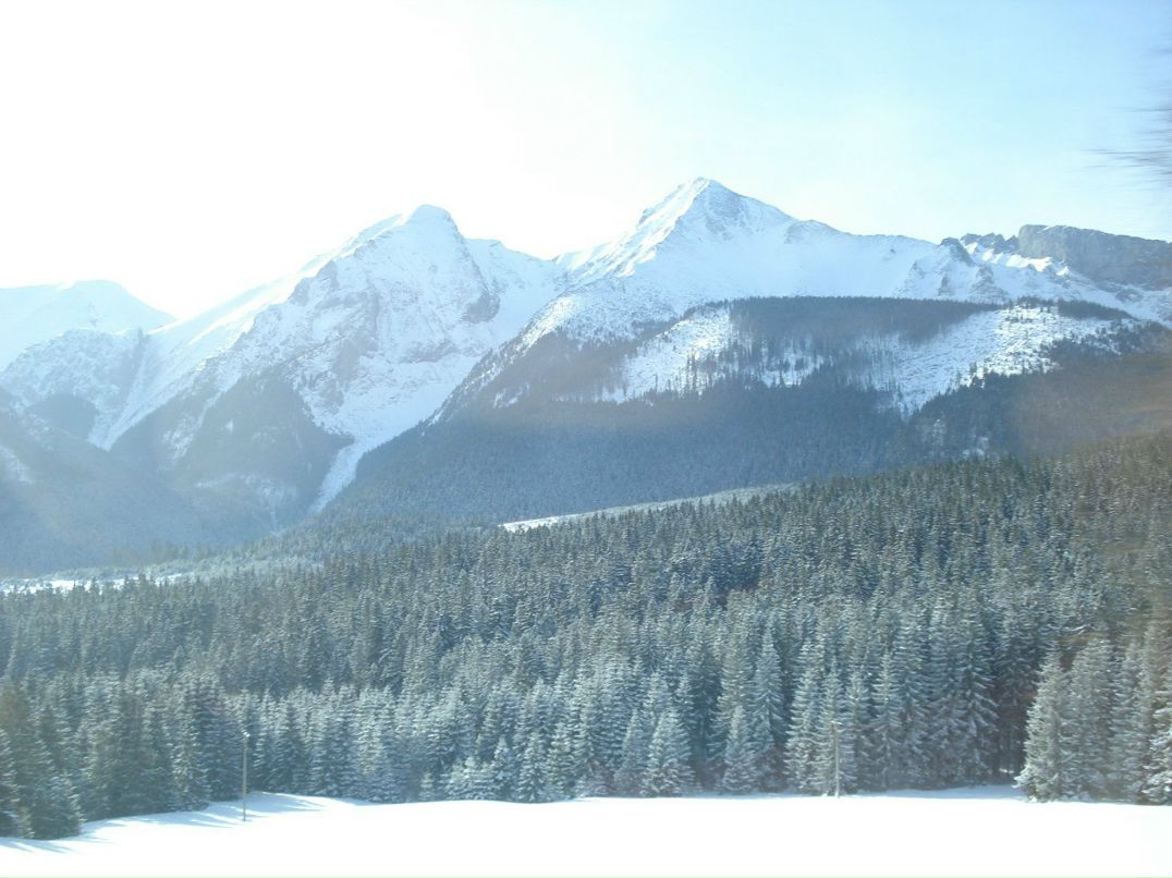 Людмила Чуйченко | Киев