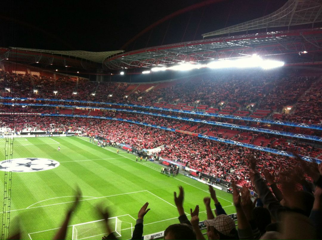 Владимир Голубев | Санкт-Петербург