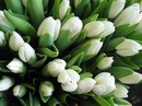 №21 Алисочка Парфёнова : профиль, фото, статус - ВКонтакте