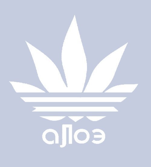 Даниил Шамрук | 