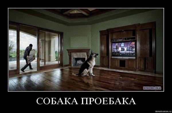 Андрей Лефутуренко | Киев