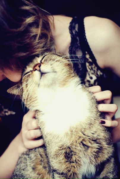 №5, Амелия Ласточкина, Seoul №5, Амелия Ласточкина, Seoul