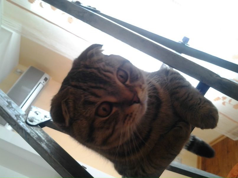 Александр Одолеев Георгиевич | Волгоград