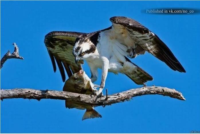 Валентин Русанов | Харьков