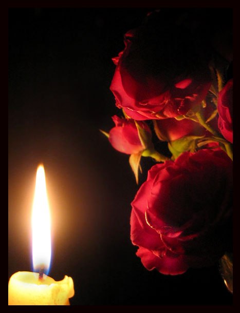 Ксения Тюшова | Котлас