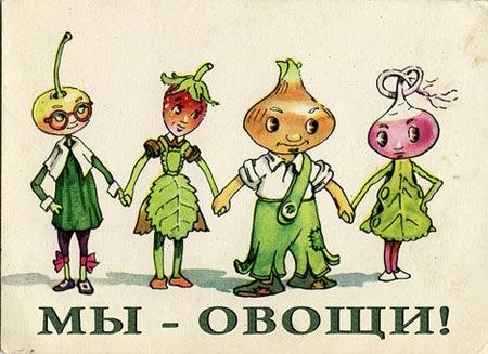 №95, Анастасия Мороз №95, Анастасия Мороз