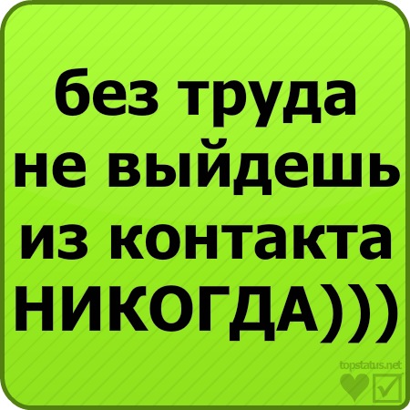 №15, Vaieriya Basova №15, Vaieriya Basova