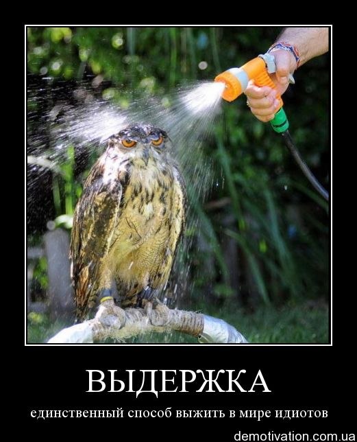 Lee Fishka | Днепр (Днепропетровск)