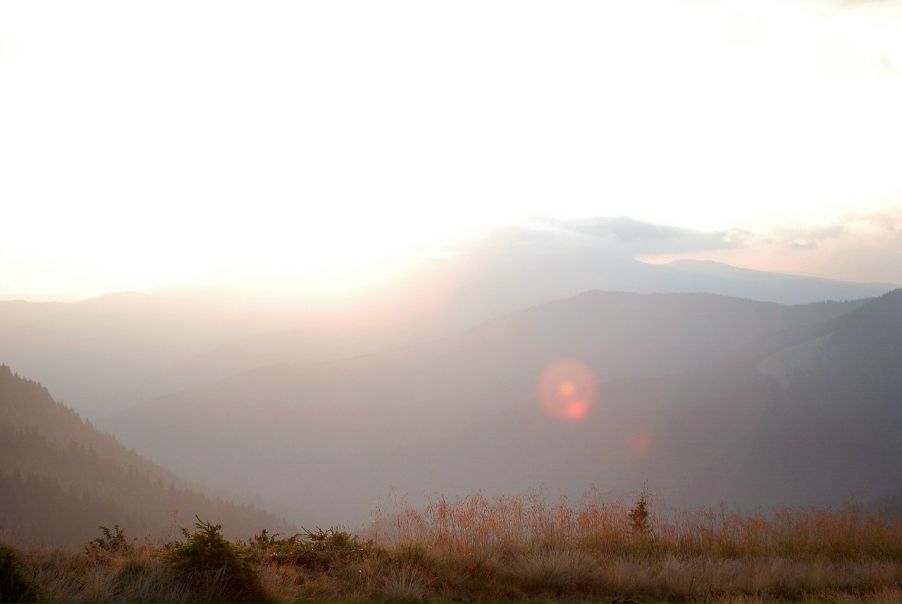 №10, Александр Савицкий, Киев №10, Александр Савицкий, Киев