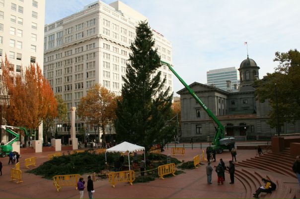 №64, Joaquin Talavera, 33 года, Portland №64, Joaquin Talavera, 33 года, Portland