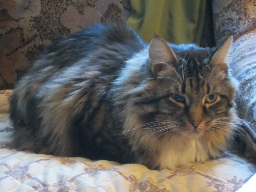 Лариса Сальникова | Москва