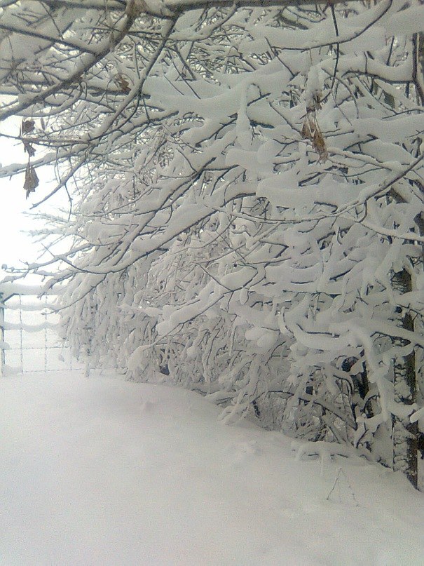 Адель Вадимович | Куркачи