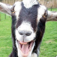 Петр Гайдучик | Апостолово