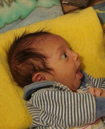 Альона Фесенко | Житомир