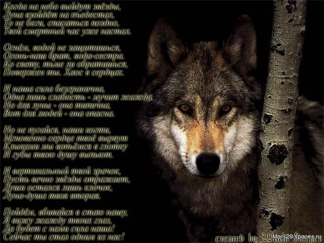 Миша Корсетов | Санкт-Петербург