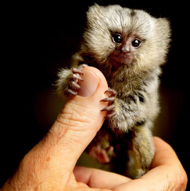 Ольга Карянова | Краснодар