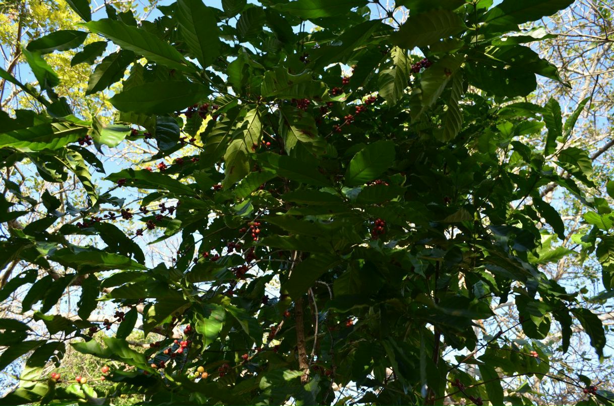 Наталья Гуцало | Волгоград