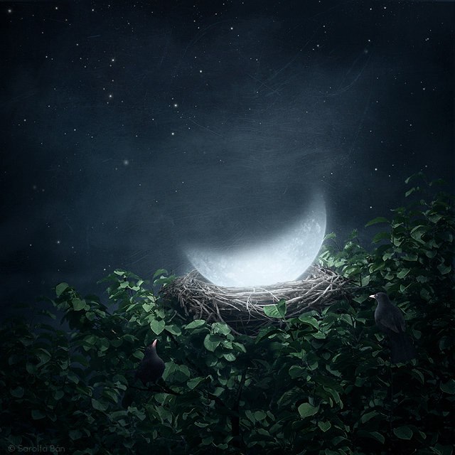 Рома Хайдаров | Харьков