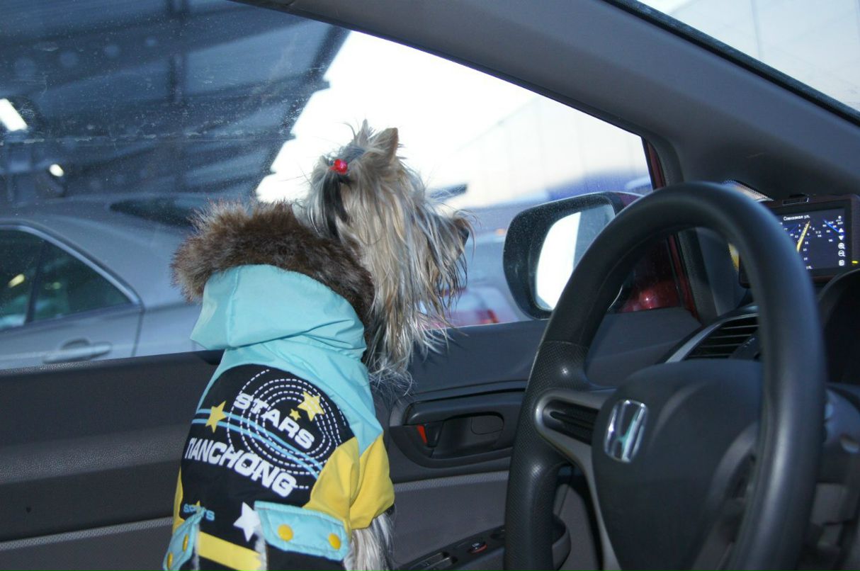 Александр Пушкарёв | Екатеринбург