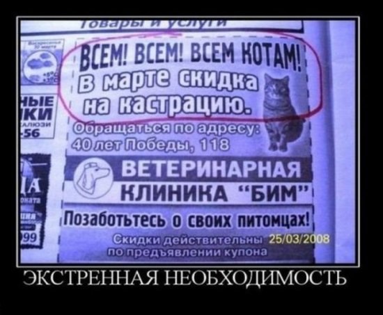 Артур Сабирзянов | Казань