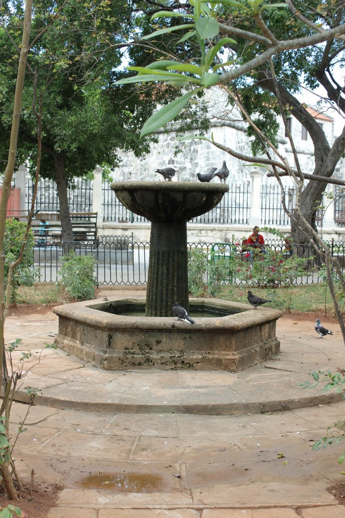 Алексей Никифоров | 