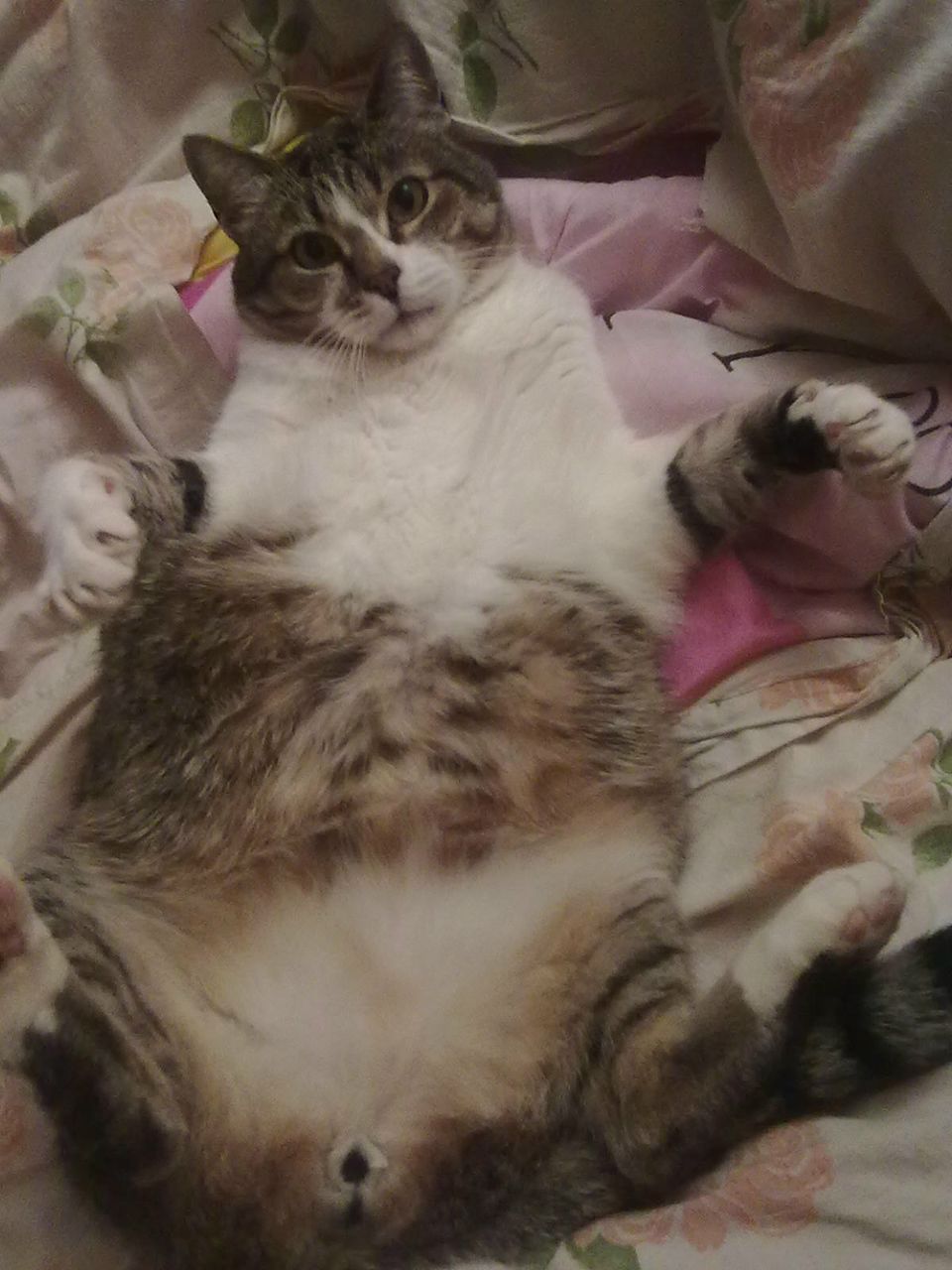 Саша Козловский | Минск