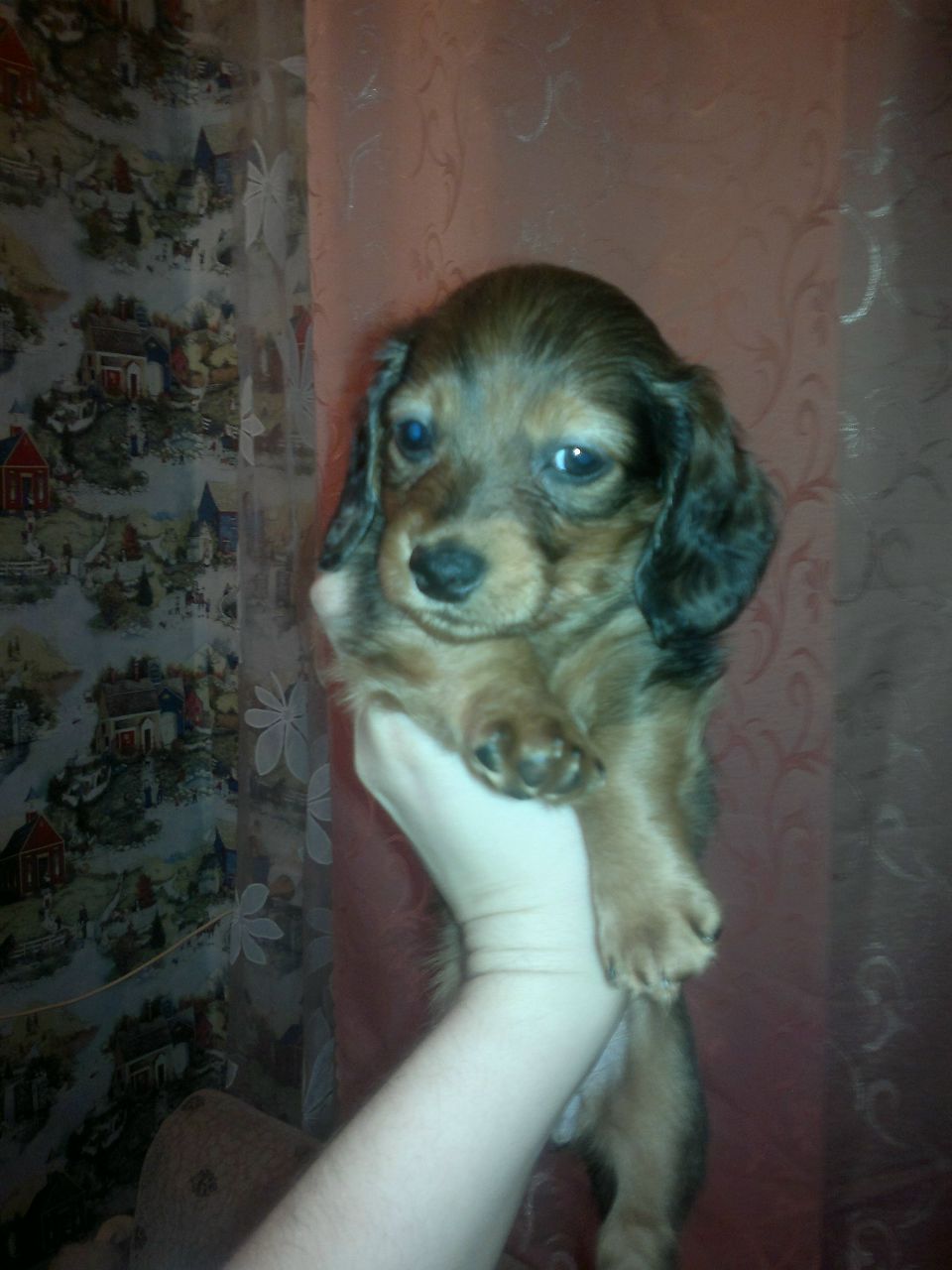 Наталья Пилиева | 