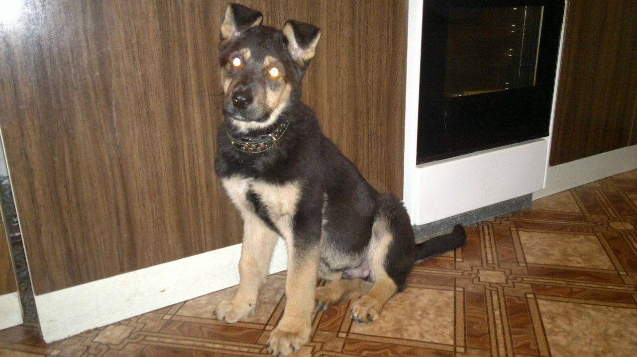 Сергей Кузнецов | Мончегорск