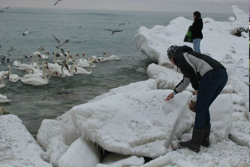 Светлана Шемаилова | Актау