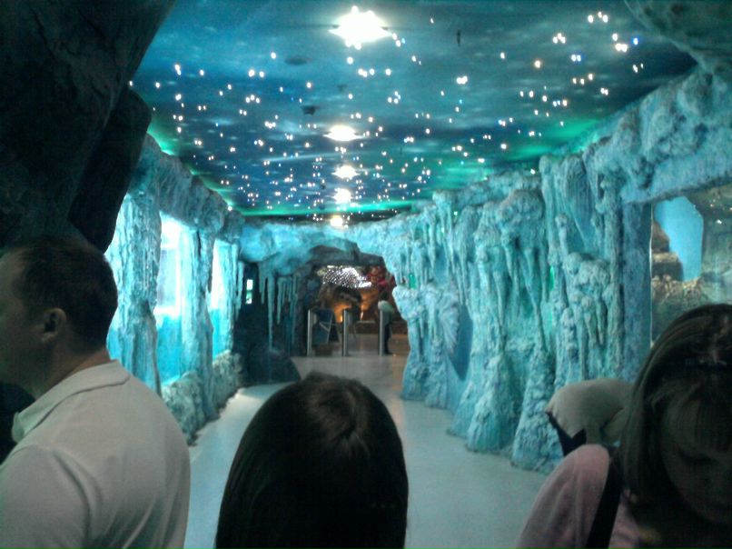 Яна Краснова | Москва