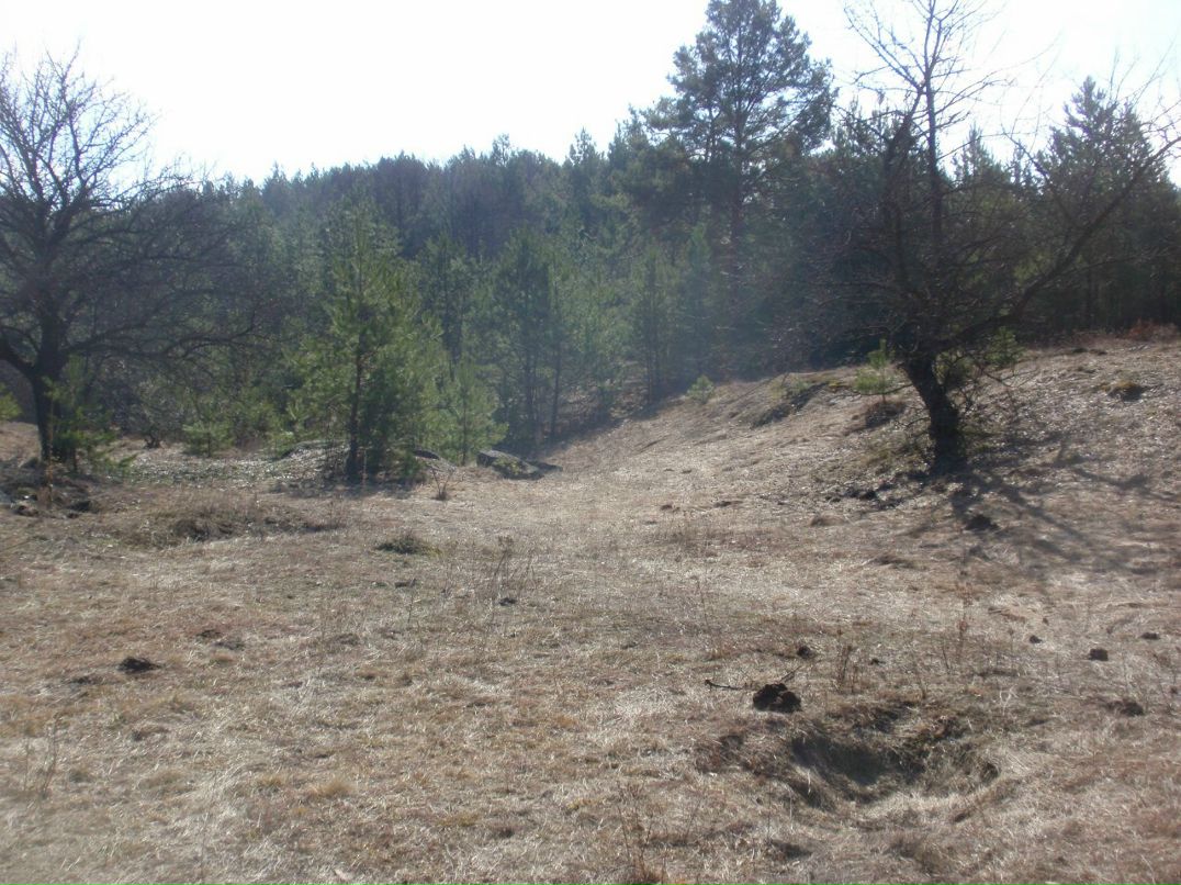 Борис Блаженний | Киев