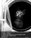 №18 Андрей Коуру