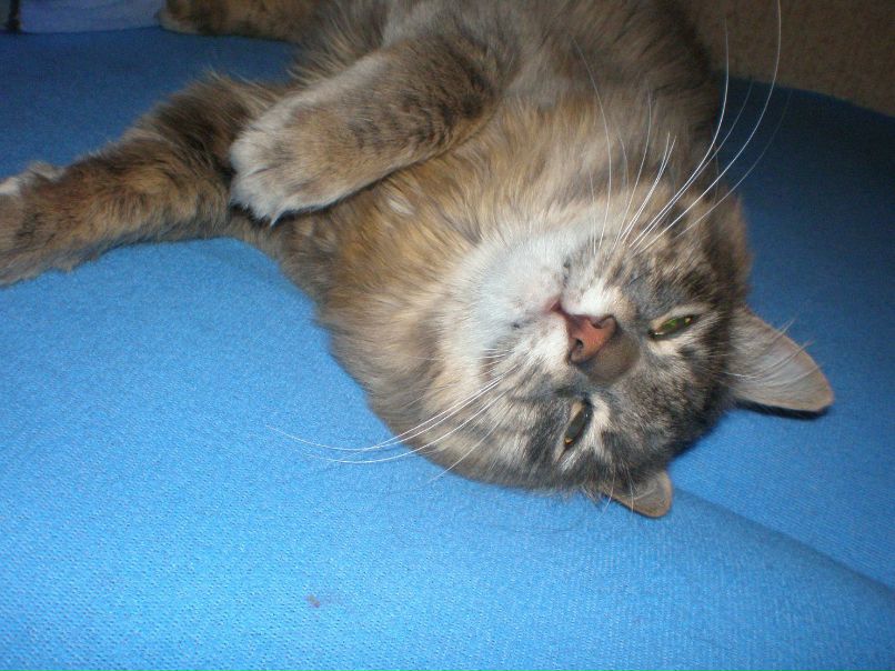 Лилия Ганиева | Когалым