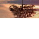 №22, Елена Щербакова, 37 лет, Харьков №22, Елена Щербакова, 37 лет, Харьков