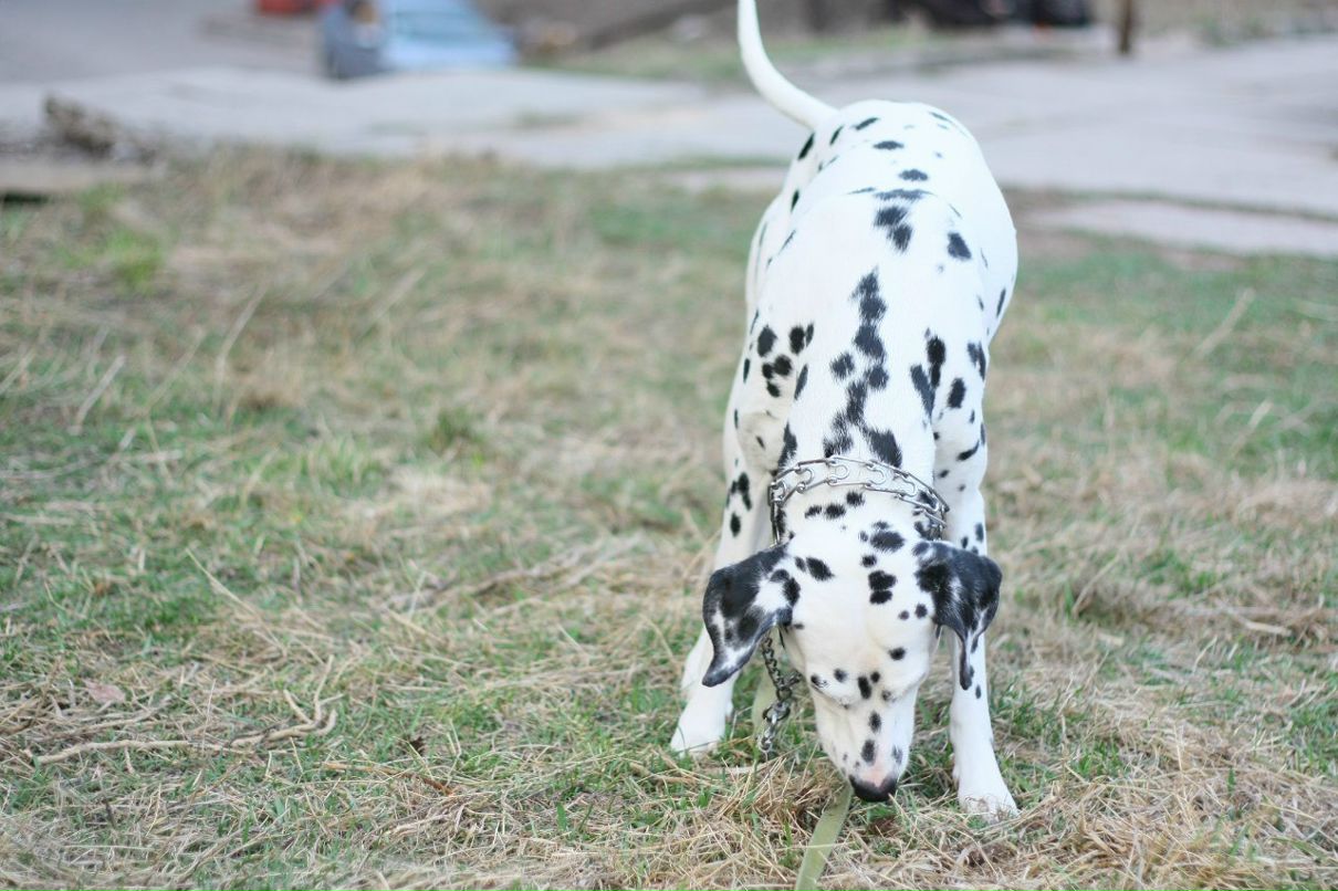 Славик Аджигитов | Москва
