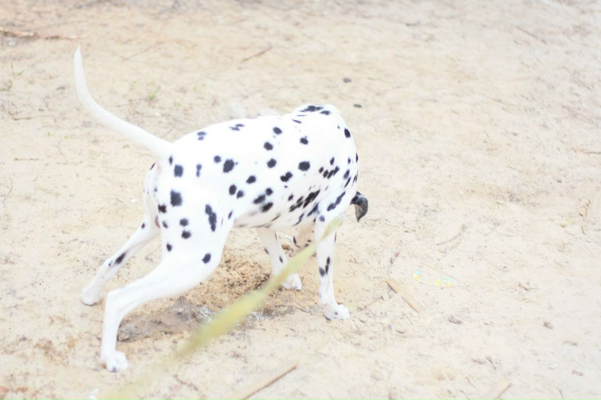 Славик Аджигитов | Москва