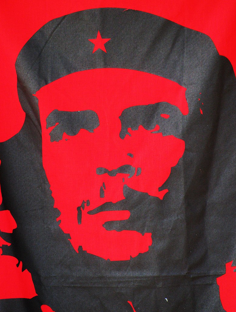 Полина Шамаева | Москва