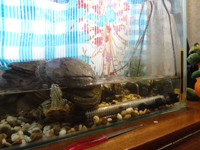 worm87 Xxxxx | Санкт-Петербург