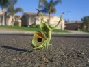 №8 Диана Серёгина : профиль, фото, статус - ВКонтакте