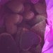 Александр Осипов фотография #16