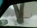 Роман Шешенин фотография #43