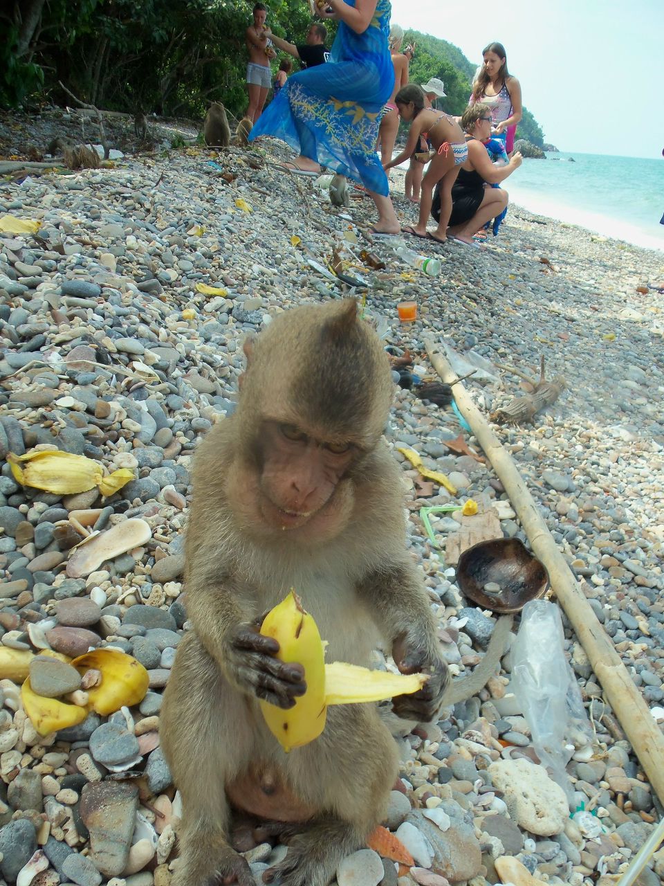 Максим Маругин | Новороссийск