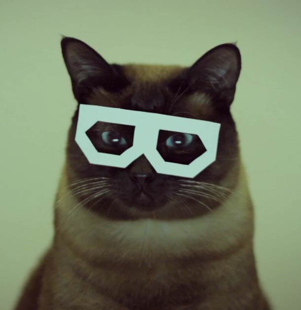 Вячеслав Алехин | Краснодар