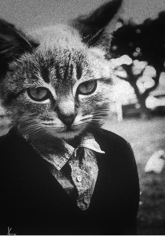 Макс Окулов | Ростов-на-Дону