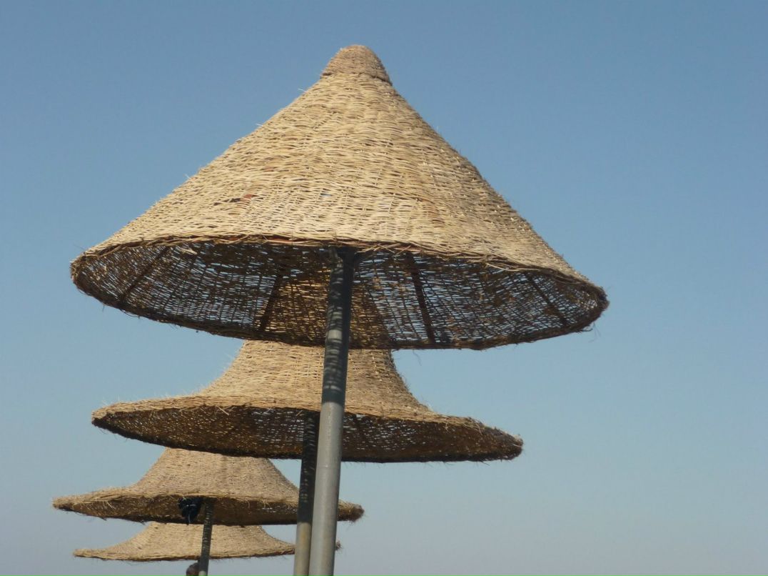 Ирина Салганюк | Киев