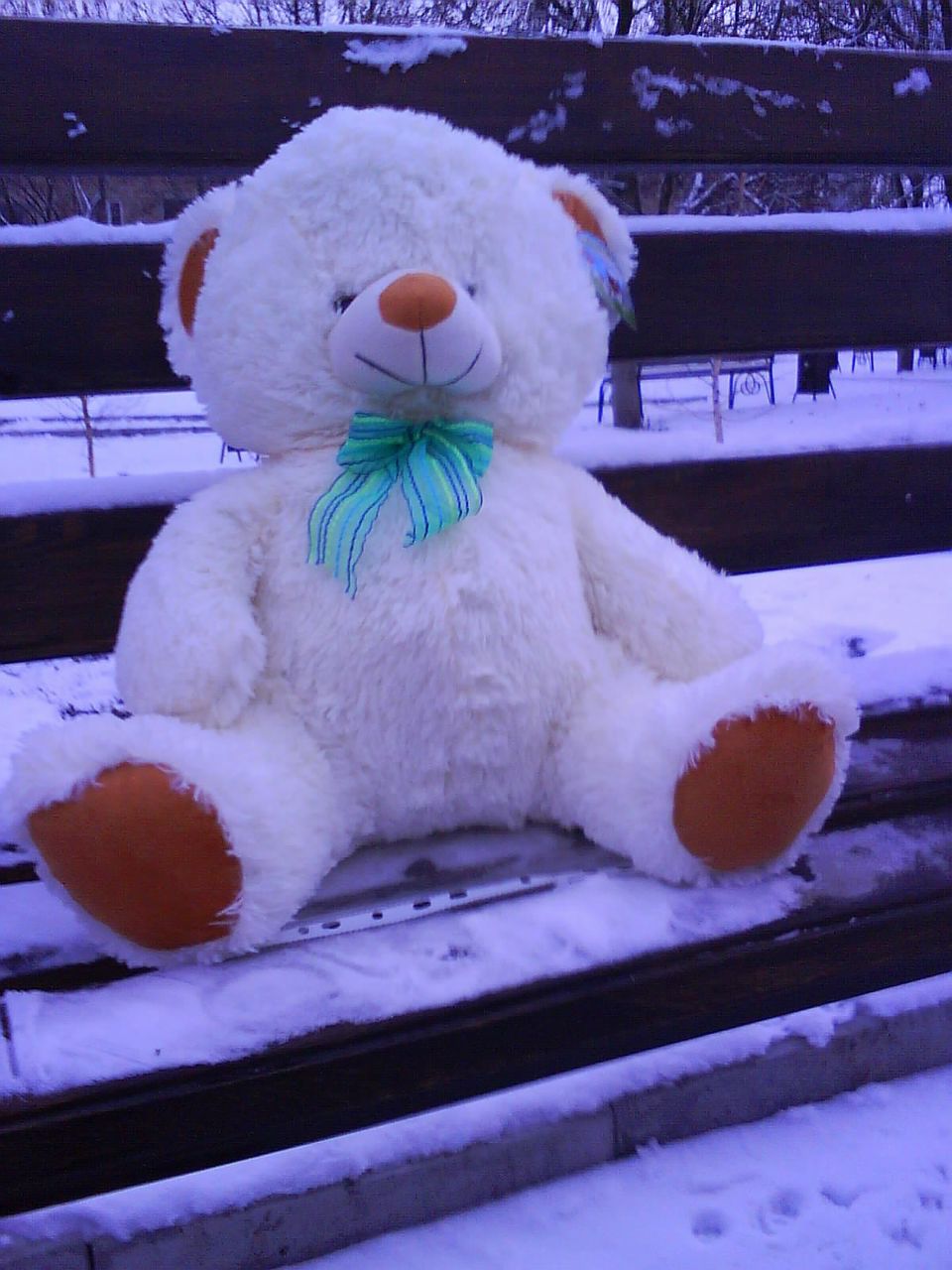 Кристина Смолевская | 